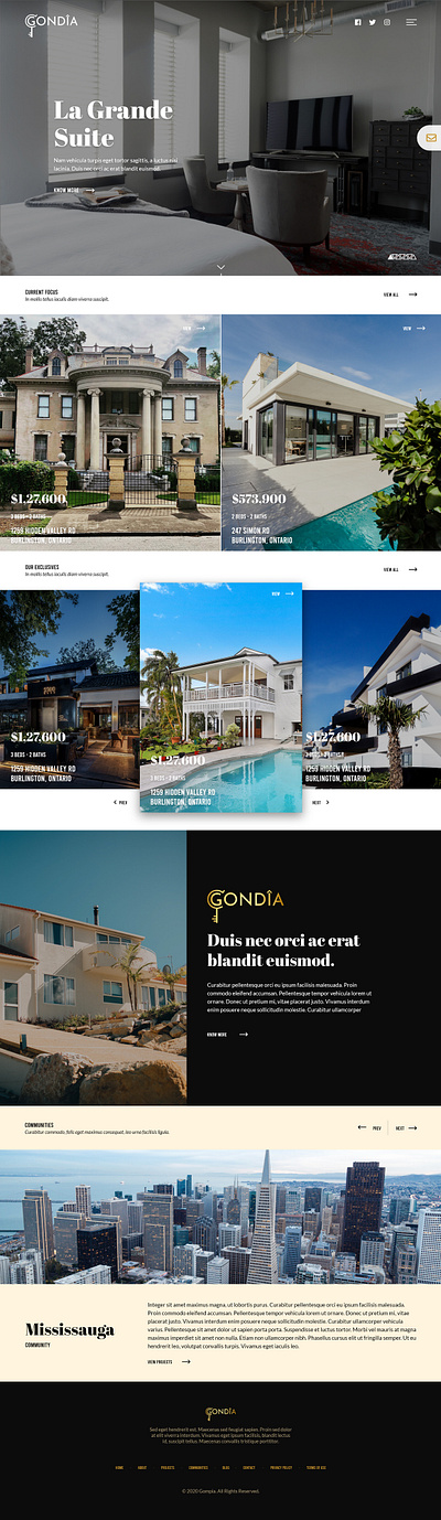 Real Estate Website for Gondia minimal real estate ui website