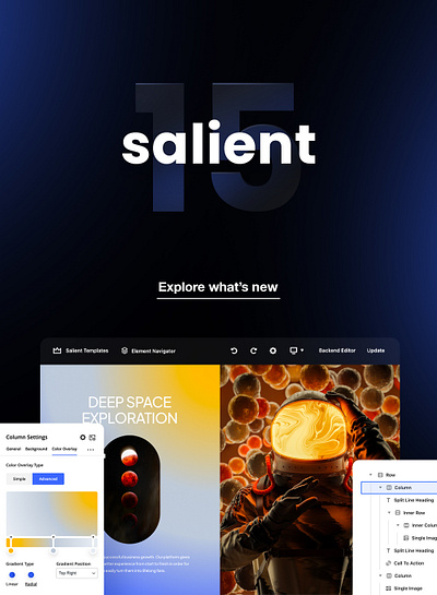 Salient | Creative Multipurpose & WooCommerce Theme website template