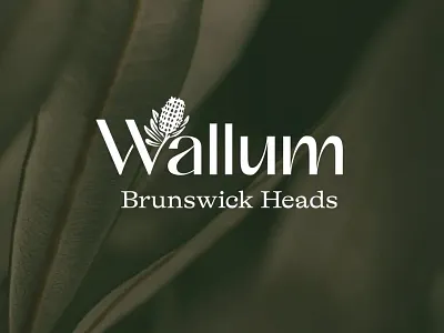 Wallum Branding branding clean identity illustration logo