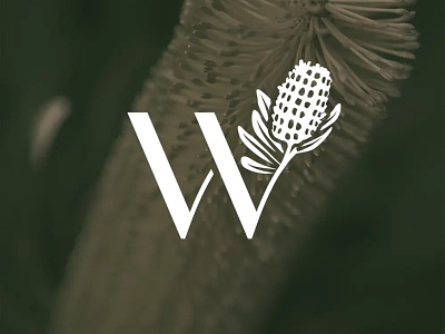 Wallum Branding brand mark branding clean icon identity logo motif typography