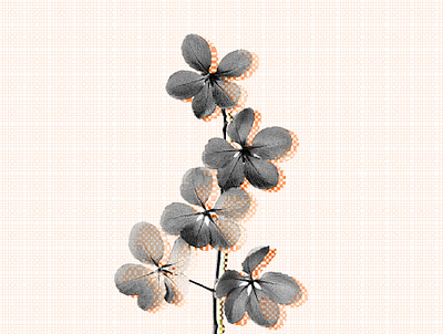 A flower branding color design graphic illustration inspiration shape visual