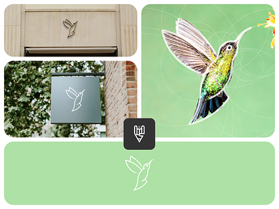Bird Logo Design bird bird logo icon logo