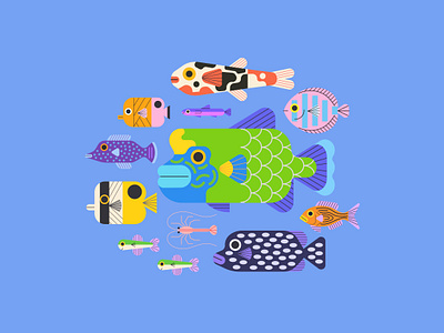 Ocean friends :) animals art character design colors design digital art fish fishes illustration ocean peaceful peces vector