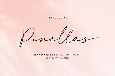 Pinellas - Handwritten Script Font casual font casual script elegant font font hand lettering handwriting handwriting font handwritten handwritten font handwritten script lettering script script font signature signature font signature script stylish font stylish signature typeface typography