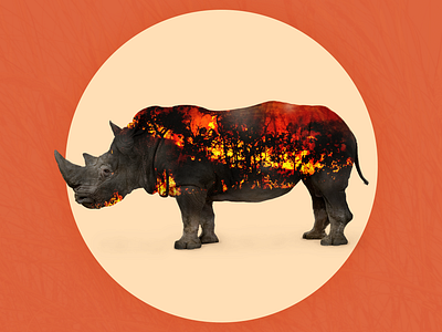 My home is burning... awareness burning rhino burning woods climate change design double exposure dramatic photo extinction graphic design photo editing photo manipulation photography editing photoshop edit rhino rhino awareness rhino habitat rhinoceros tropical fire