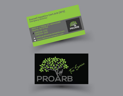 BUSINESS CARD adobe indesign branding design graphic design illustration logo typography vector