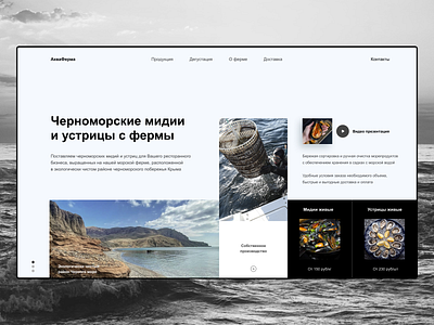 Production & Sales of mussels and oysters branding design food web web design