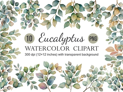 Watercolor Eucalyptus Clipart, Greenery 3d animation app branding design graphic design illustration logo ui vector