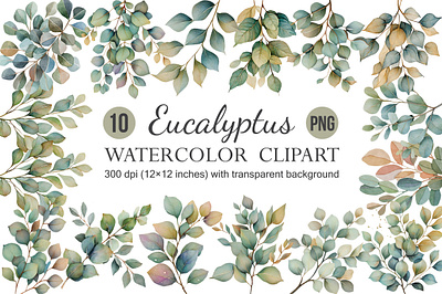 Watercolor Eucalyptus Clipart, Greenery 3d animation app branding design graphic design illustration logo ui vector
