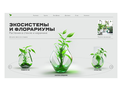 Florariums sale page concept concept landing page ui web design