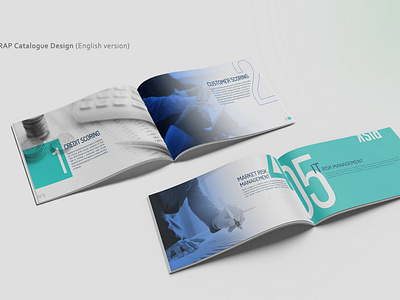 Catalogue Design for Satrap adobe art bank blue branding brochure design catalog catalouge design creative design freelancer graphic graphic design hiring illustrator photoshop risk management