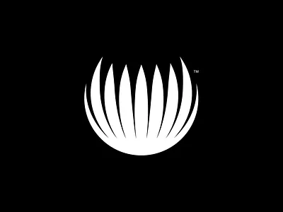 Logo Icon, Brand Logo, Logo Mark, Brand Identity. shoes