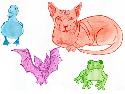 My favorite animals animals drawing logo pencils