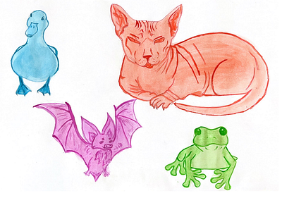 My favorite animals animals drawing logo pencils