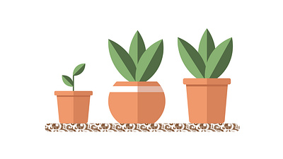 Plant Illustration graphic design illustration
