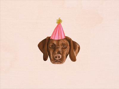 Vizsla Illustration birthday hat dog design dog illustration illustration procreate procreate illustration vizsla vizsla design
