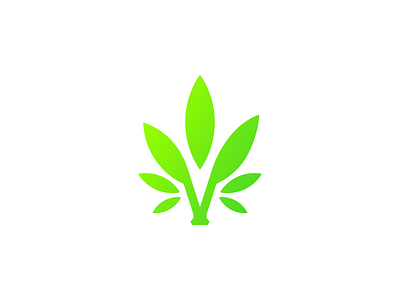 Elegant Letter V Cannabis Logo cannabis cannabis logo cbd logo design finance green health hemp logo icon leaf logo logo design logodesign medical medicine minimal minimalist logo nature logo retail