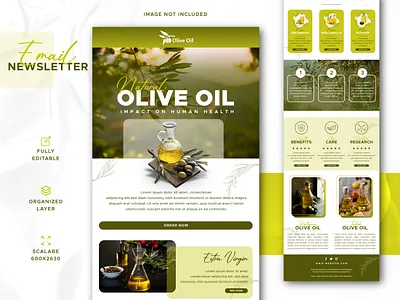 Olive Oil Email Newsletter Ui Template brand marketing branding design email email design email newsletter email template graphic design interface marketing newsletter olive oil promtion template design ui