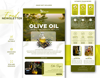 Olive Oil Email Newsletter Ui Template brand marketing branding design email email design email newsletter email template graphic design interface marketing newsletter olive oil promtion template design ui