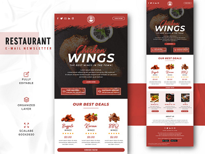 Food Email Marketing Newsletter Template corporate identity corporate promotion design email email design email newsletter email promotion email template design graphic design newsletter newsletter promotion restaurent promotion template template design uiux