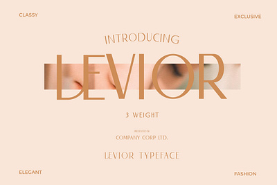 Levior - Classic Modern Typeface serious