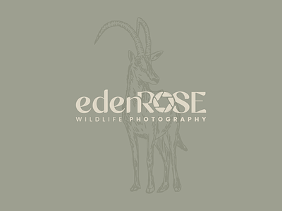 Eden Rose brand concept branding graphic design logo typography visual identity