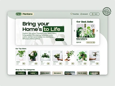 E-Commerce Shop - UX/UI Design dailyui dailyui12 dailyuichallenge design e commerce e commerce shop e shop graphic design green plant plantano plantlover product design ui uiux ux ux design uxui uxui design website