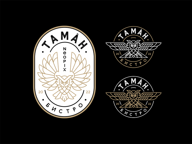 Taman badge badge bar bird branding coffe shop design drinks fly graphic design icon icon set illustration location nature owl place smart vector wings wise