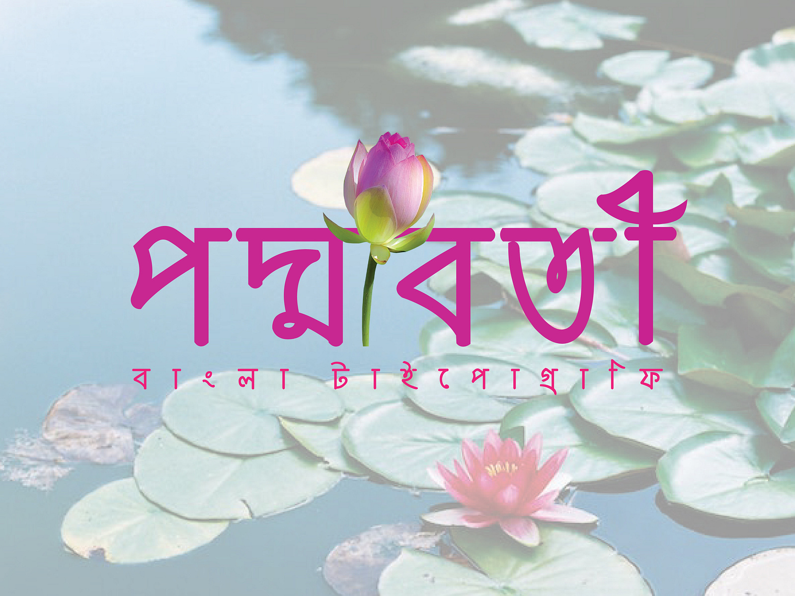 Bangla Typography Design Lotus Logo Design Flower by Arnil Ajha