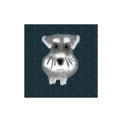 schnauzer design dog grey illustration pets schnauzer whyte