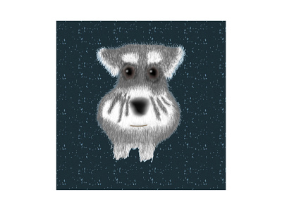 schnauzer design dog grey illustration pets schnauzer whyte