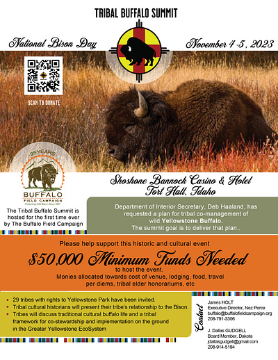 Buffalo Field Campaign -Tribal Buffalo Summit branding design flyer graphic design illustration social media