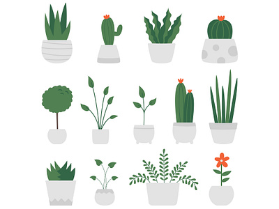 Vegetable Plot designs, themes, templates and downloadable graphic elements  on Dribbble