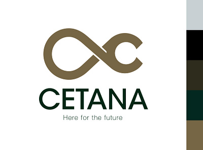 CETANA Logo branding design graphic design illustration logo real estate branding thepoddotme typography vector