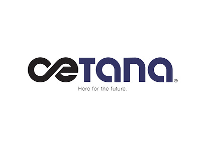 CETANA Logo branding design graphic design illustration logo real estate branding thepoddotme typography vector