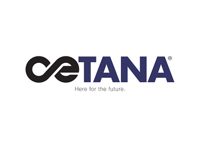 CETANA Logo branding design graphic design illustration logo real estate branding thepoddotme typography vector