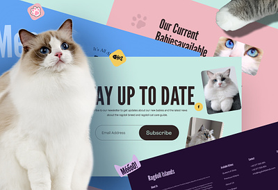 Cat website design & animation full case study - Ragdoll Islands animation cat design motion pet web website