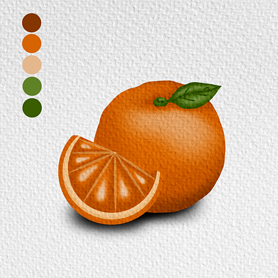 Orange painting branding cartoon colors colour drawing element flat fruits graphic design green icon illustratior logo nature orange painting sweet tone