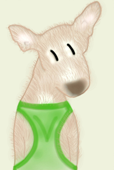 PODENCO PUPPY brown design dog green ill illustration pets podenco