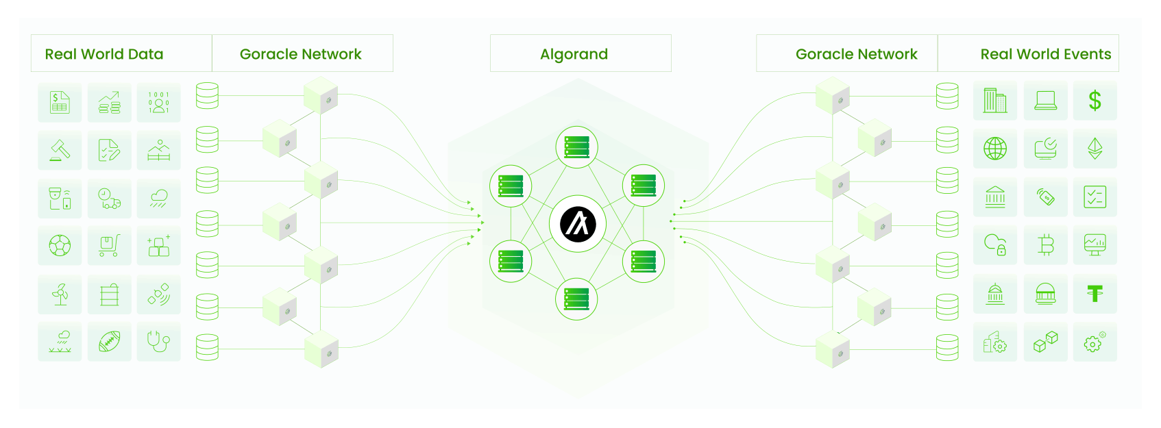 Gora animation branding graphic design logo motion graphics ui