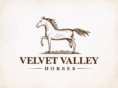 Velvet Valley Horses Logo Design 2d design branding design graphic design horse horse logo horse vintage logo illustration logo vector vintage logo
