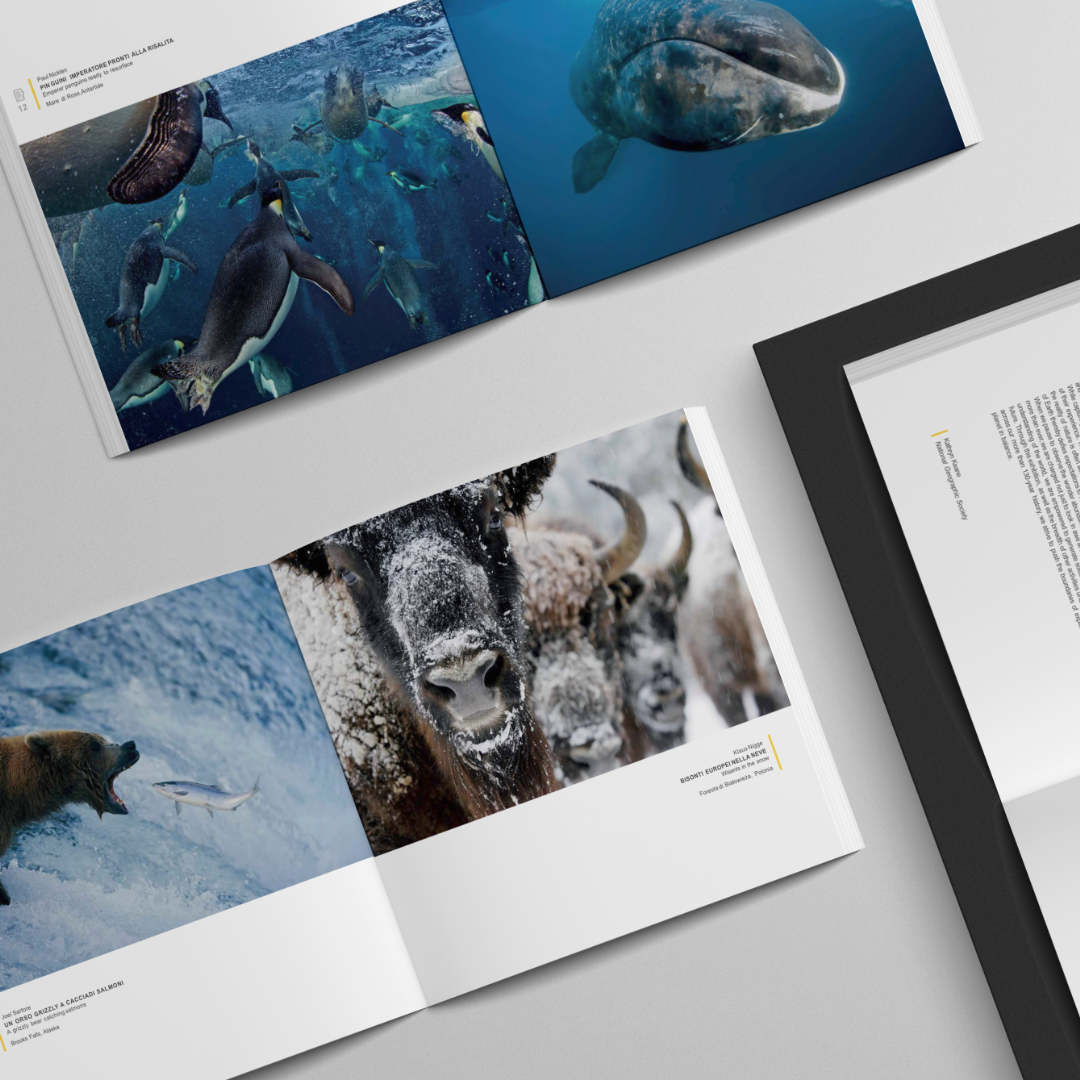 What a wonderful world affinity publisher design edit editorial graphic indesign publishing publishing designer