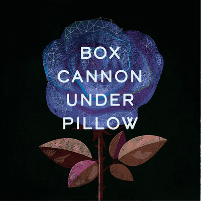 Box cannon under pillow (music by Filip Yip) branding design electronic music graphic graphic design illustration logo music photohsop rose spotify typography