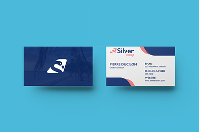 Silver Airways Redesign branding design graphic design icon illustration logo typography ui ux vector