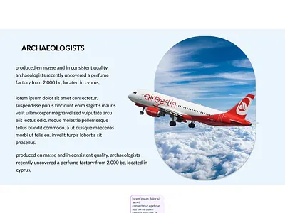 Airlines website ui