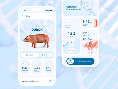 DNA - Breed Description app b2b blue business clean data design dna genetic ios minimal mobile molecule phone pig product ui ux white