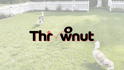 Thrownut Animation animation branding dog logo nut throw toy