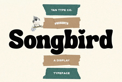 Tan Songbird Font: Display Typeface font