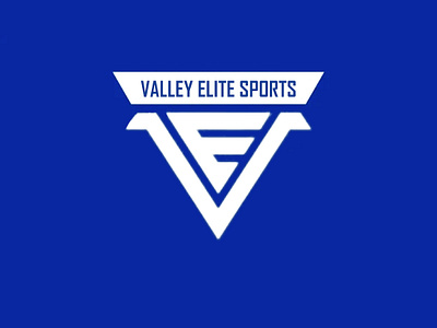 valley elite sports 3d animation artisticexpression beautiful card branding design graphic design illustration logo motion graphics ui valley elite sports vector