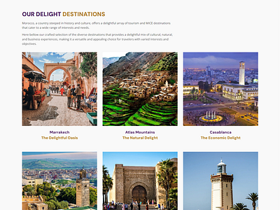 Delight Morocco Wonders Website Design & Development blincks branding destinations elementor graphic design logo morocco morocco travel template travel travel website typography ui ux web design web development website design website templates wordoress